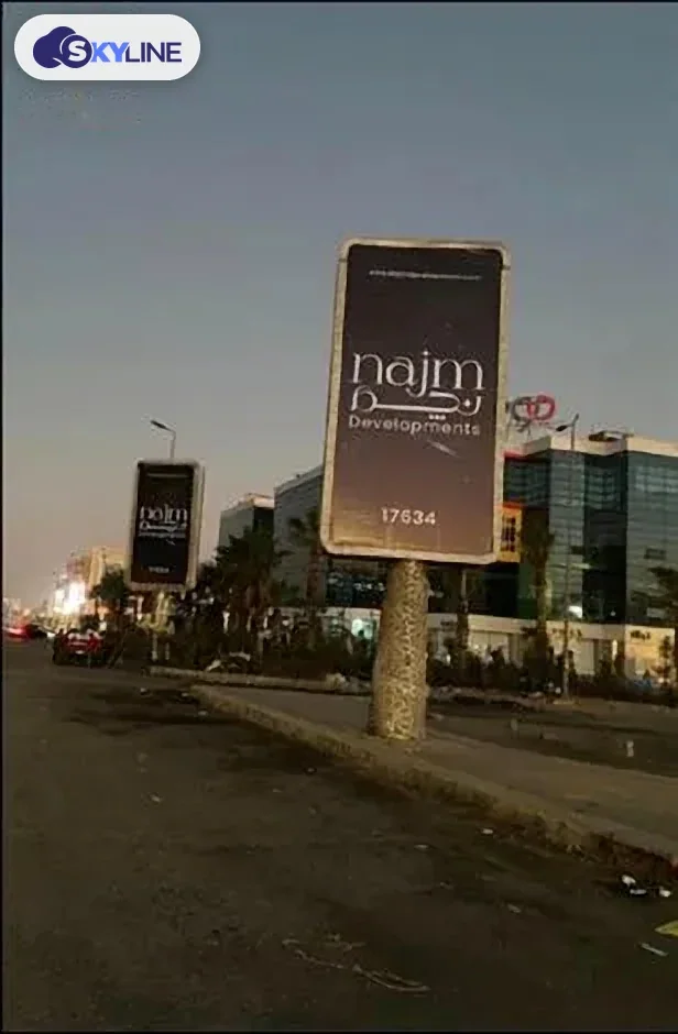 Billboard in 90th Street South, Cairo (2)